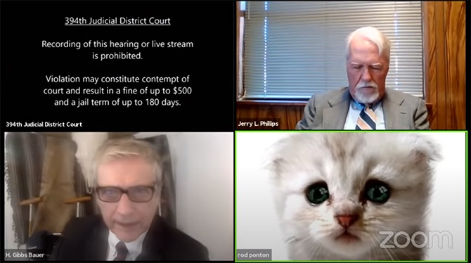 zoom filter mishap lawyer cat virtual hearing viral video