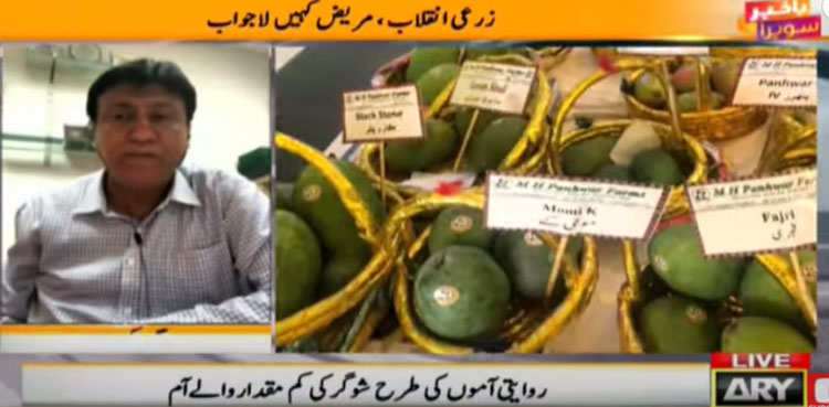 pakistan sugar free mangoes diabetics varieties