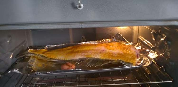 fish fillet jumping oven viral video