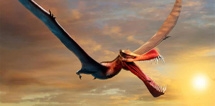 VIDEO: Scientists discover ancient cemetery of flying reptiles