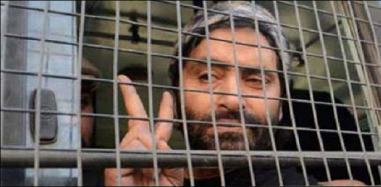 Pakistan, fabricated charges, India, Yasin Malik, demarche